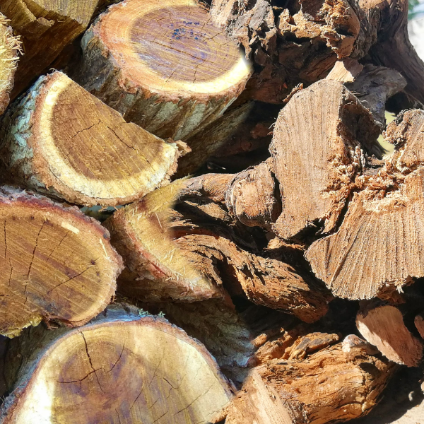 Premium braai wood collection - Kameeldoring, Rooikrans and hardwood bundles for Cape Town delivery
