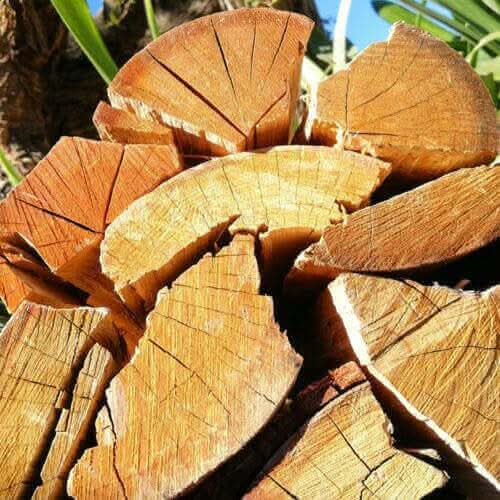 Bulk Blue Gum wood loose pieces (Bloekom Hout) tipped from bakkie in Cape Town driveway—affordable fireplace firewood delivery.
