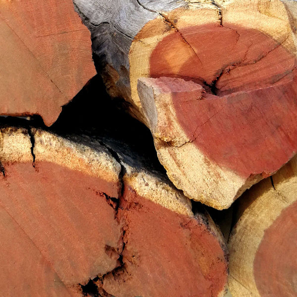 Premium Kameeldoring braai wood close up showing dense red wood grain texture - Cape Town Mother City Firewood