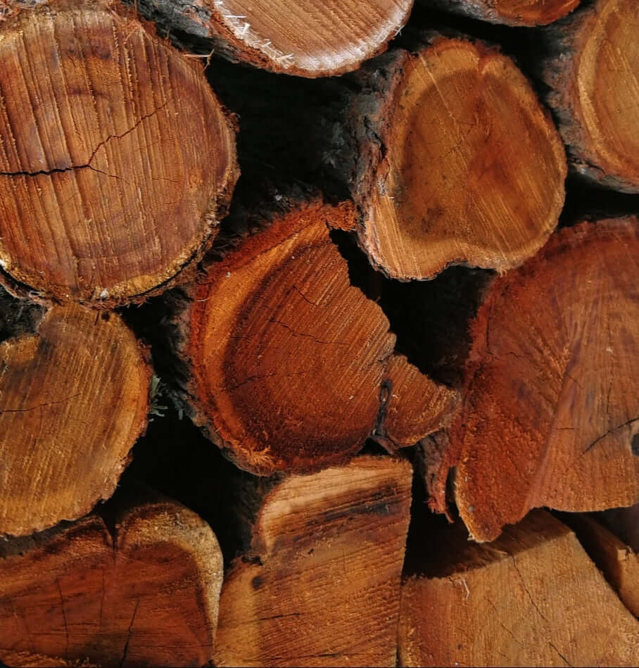 Premium Rooikrans Braai wood close-up. Jumbo bag size for sale in Cape Town