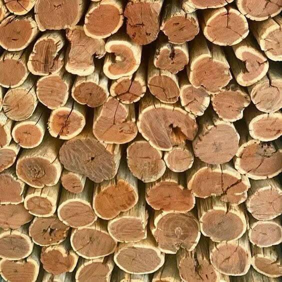 Sekelbos wood (Sickle Bush) Firewood Close-up of pieces showing dense grain and vibrant orange-red tones, ready for a Cape Town braai.